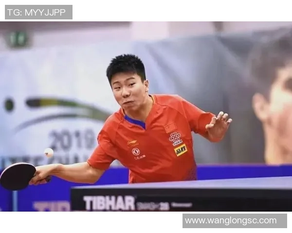 西安乒乓球队在世锦赛中的团队协作展现出卓越实力与默契配合