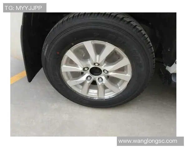 南京乒乓球队以91分领跑洲际杯积分榜展现强劲实力